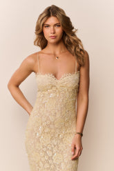 Ciona Sequin Lace Gown