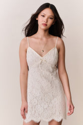 Petaline Lace Mini Dress