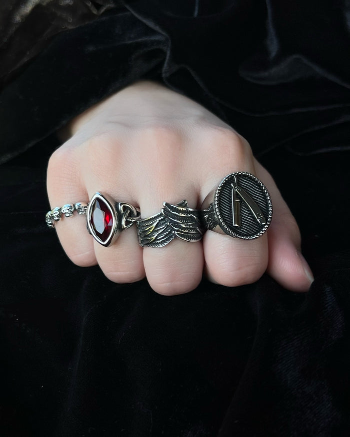 Ring ~ A Fire They'll Never Contain by Andy Biersack ~ Limited Edition